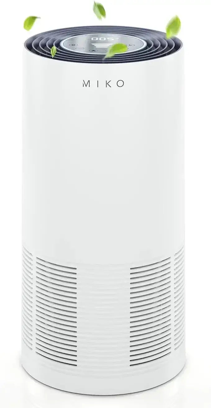 Air Purifier For Home