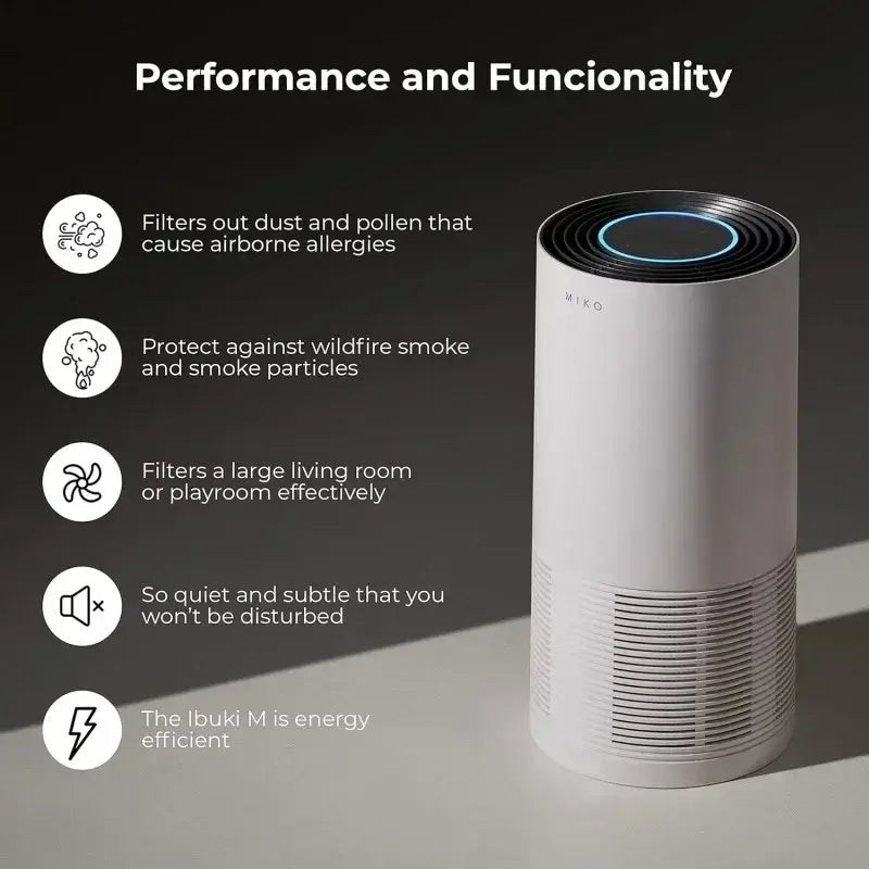 Air Purifier For Home