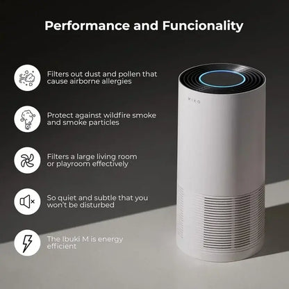 Air Purifier For Home